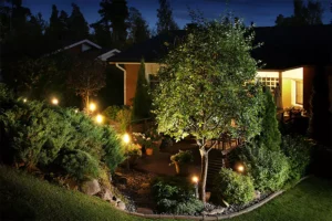 Beautifully lit backyard garden with outdoor lighting highlighting trees and shrubs, creating a cozy nighttime ambiance