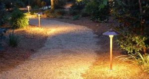 Low-voltage landscape lighting along a beautifully lit pathway in Raleigh, NC.