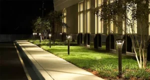 Commercial outdoor lighting along a walkway, featuring modern black lamp posts illuminating a landscaped area with grass and trees at night.