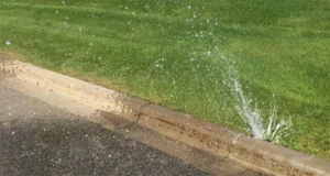 Leaking irrigation system with water spraying onto the street, indicating a malfunction near the curb