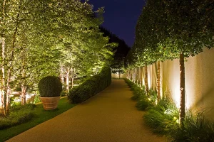 Elegant outdoor landscape lighting near Raleigh featuring evenly spaced uplights illuminating trees along a garden pathway, creating a warm and inviting nighttime ambiance.