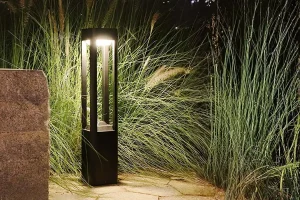 Modern landscape lighting installation illuminating a walkway with LED outdoor lighting at night in Raleigh, NC