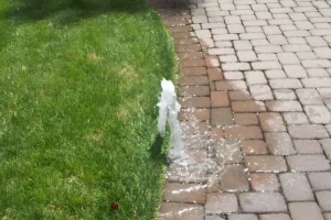 A damaged sprinkler head is spraying water uncontrollably along the edge of a lawn and paved walkway, indicating a possible leak or pressure issue in the irrigation system.