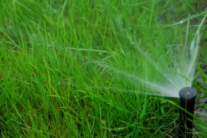 Low water pressure sprinkler head spraying unevenly across a Raleigh lawn, showing irrigation system problems that can cause dry spots and poor water coverage