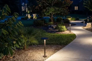 LED path lights illuminating a curved residential walkway at night in a landscaped Raleigh North Carolina yard