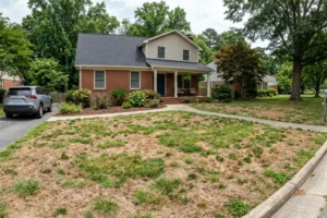 https://alfga.com/how-do-you-know-if-brown-grass-is-fungus-or-heat-in-north-georgia/