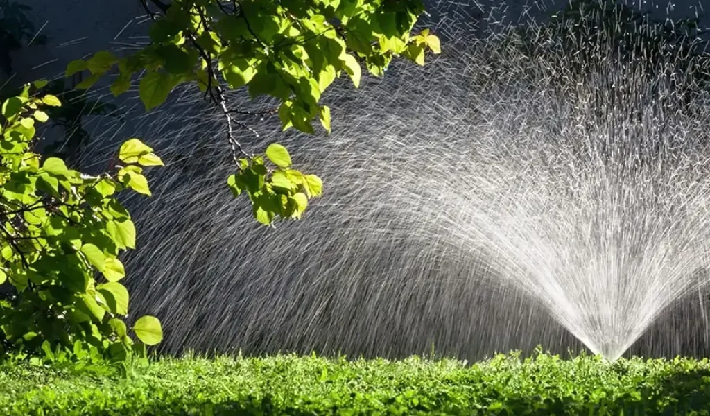 Smart irrigation system watering new lawn in Raleigh NC preventing overwatering and promoting deep root growth