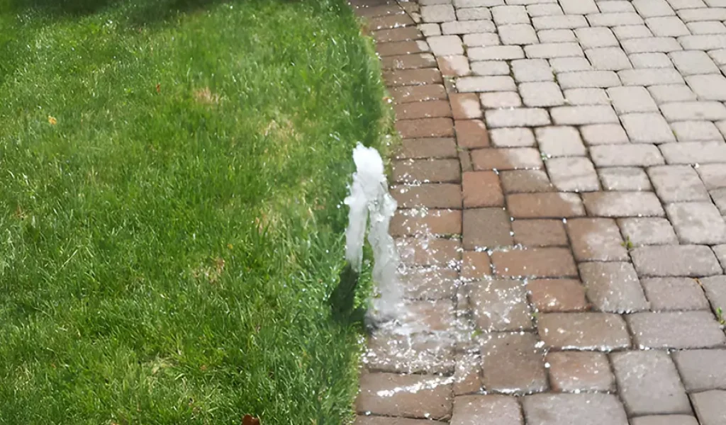 A damaged sprinkler head is spraying water uncontrollably along the edge of a lawn and paved walkway, indicating a possible leak or pressure issue in the irrigation system.