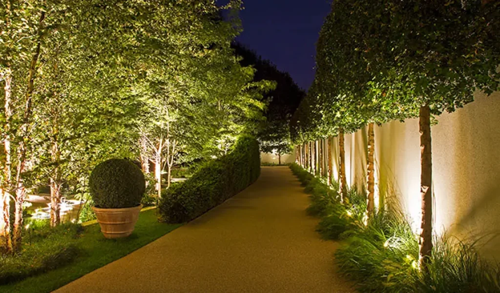 Elegant outdoor landscape lighting near Raleigh featuring evenly spaced uplights illuminating trees along a garden pathway, creating a warm and inviting nighttime ambiance.