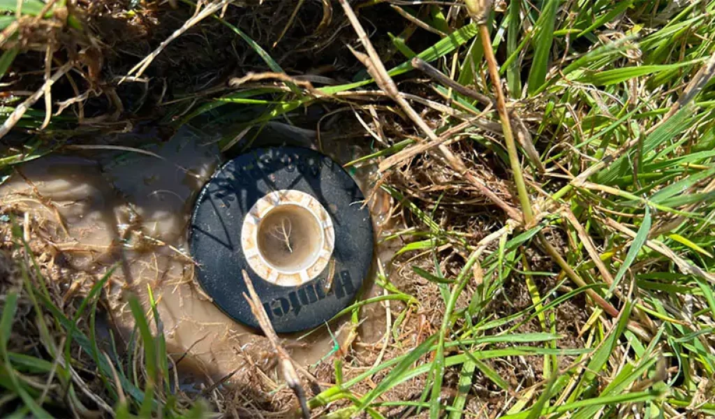 Damaged sprinkler head surrounded by muddy water and overgrown grass in Raleigh, NC – indicating need for timely sprinkler repair and maintenance.