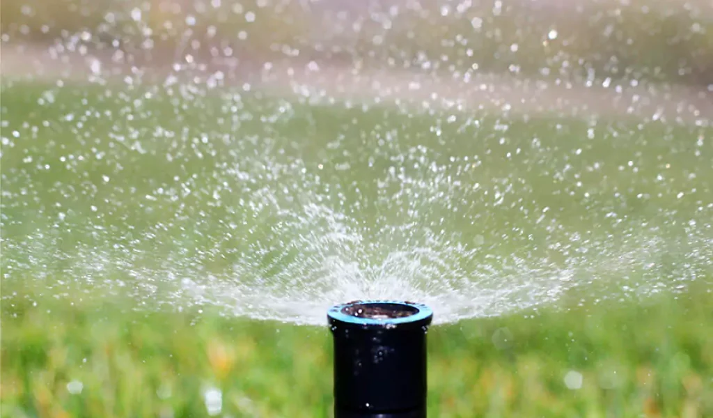 Lawn Sprinkler Spring Startups
