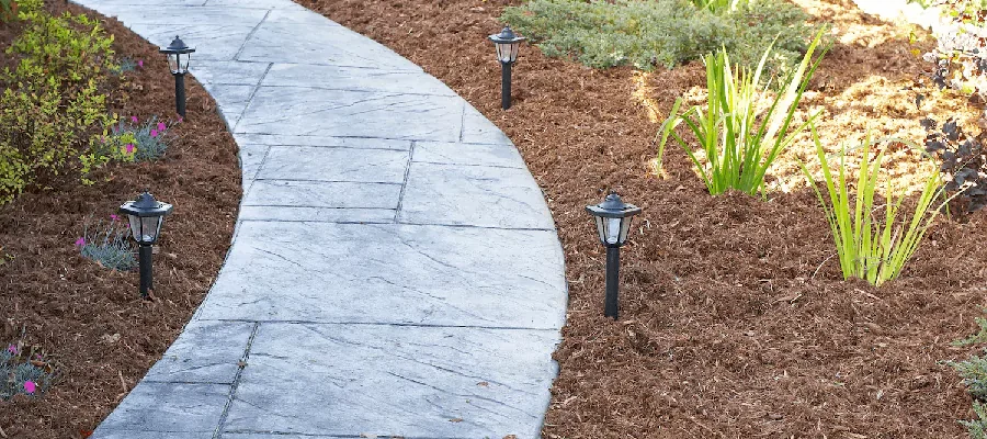 cement pathway with lights and plants
