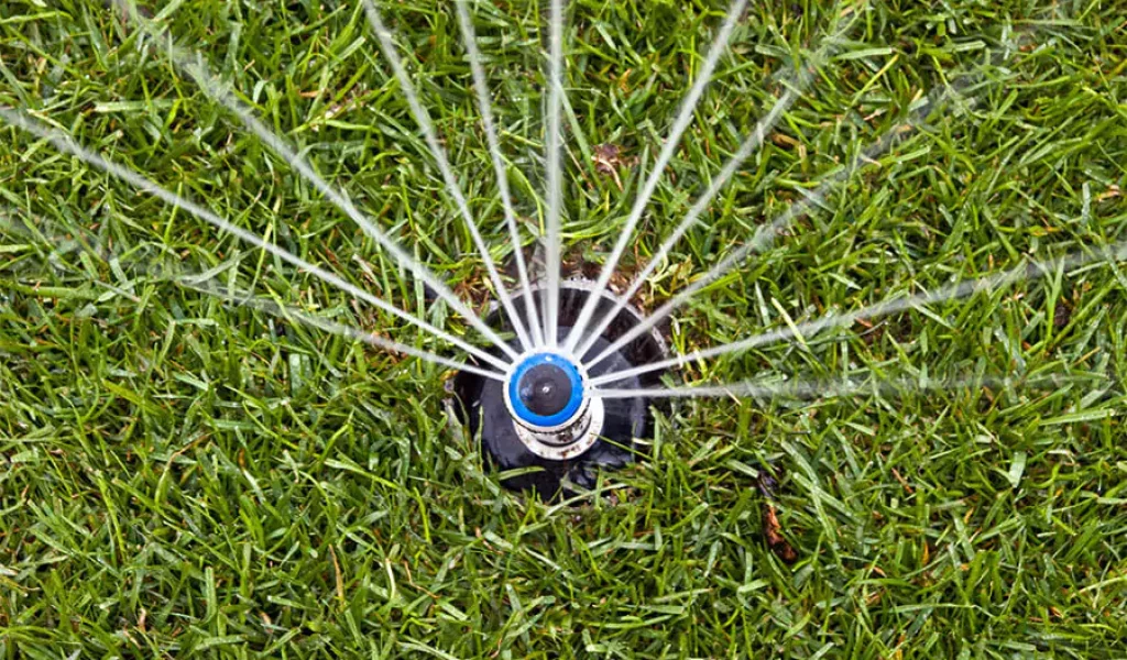 Raleigh Sprinkler System Repair: Expert Tips for a Lush Lawn